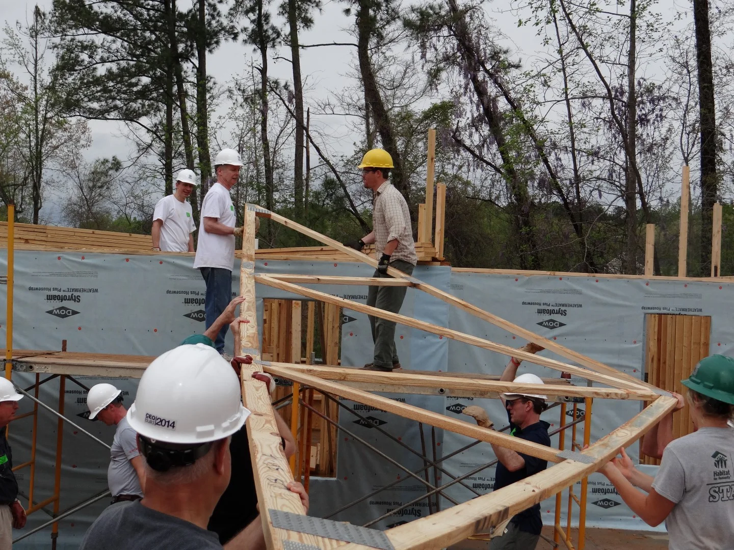 DSC07858 (Large).JPG