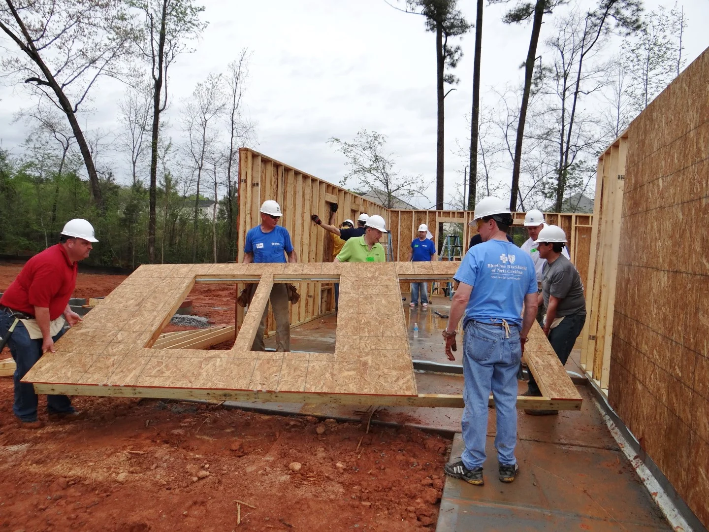 DSC07860 (Large).JPG