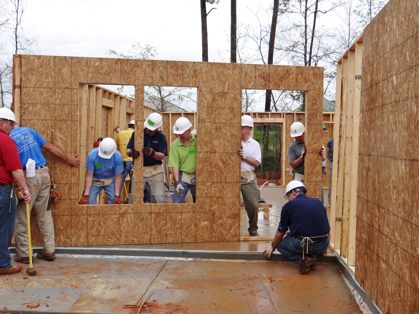 DSC07861 (Large).JPG