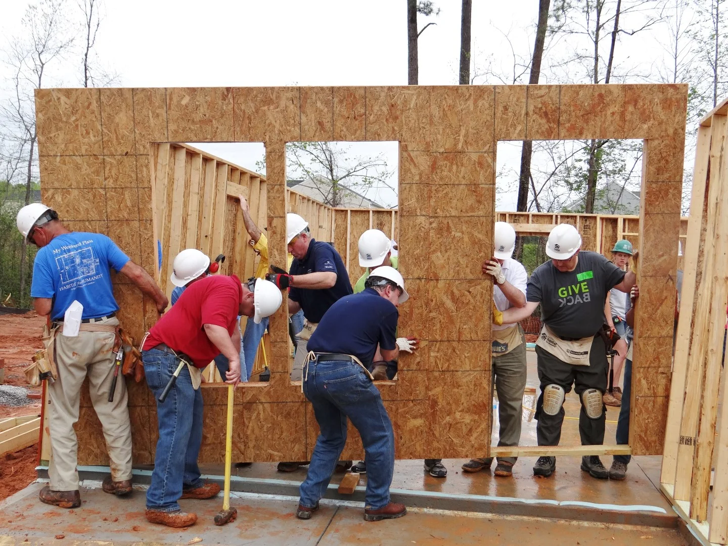 DSC07863 (Large).JPG