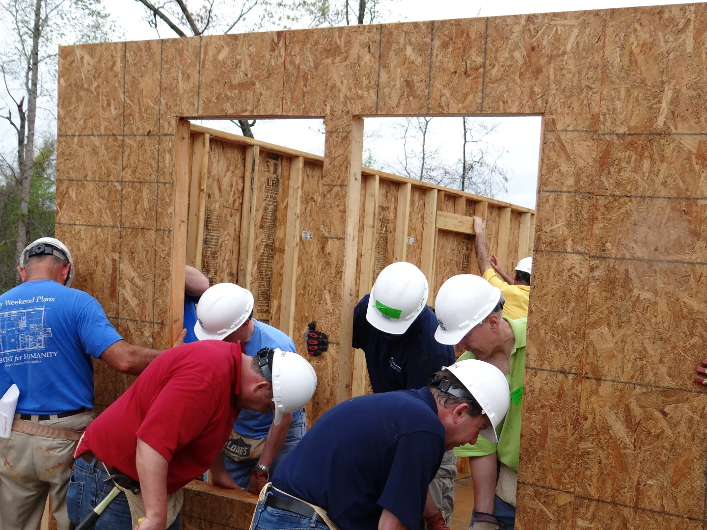 DSC07865 (Large).JPG