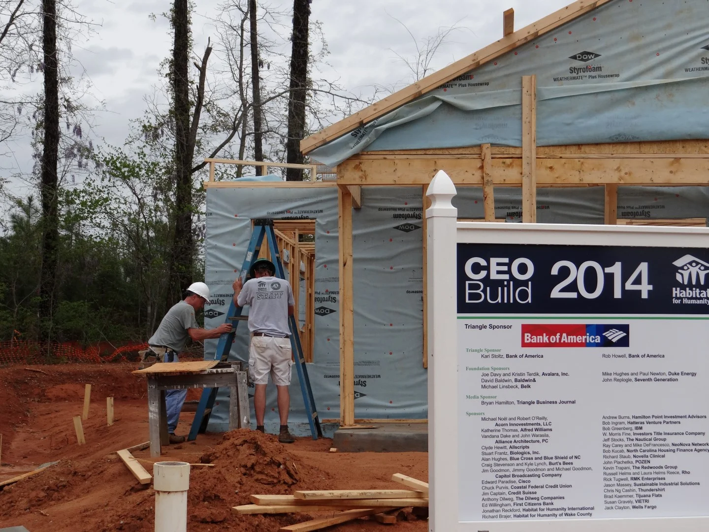 DSC07870 (Large).JPG