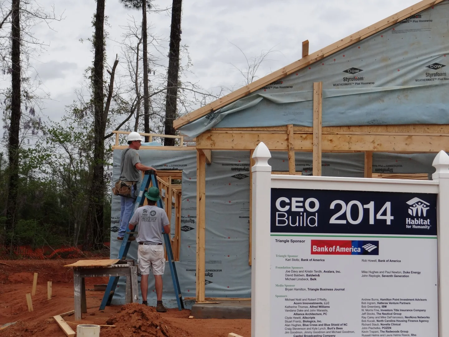 DSC07871 (Large).JPG