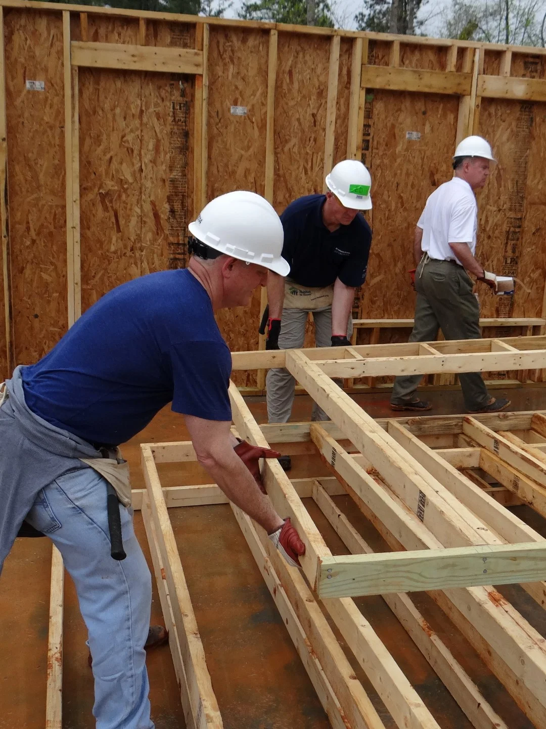 DSC07879 (Large).JPG