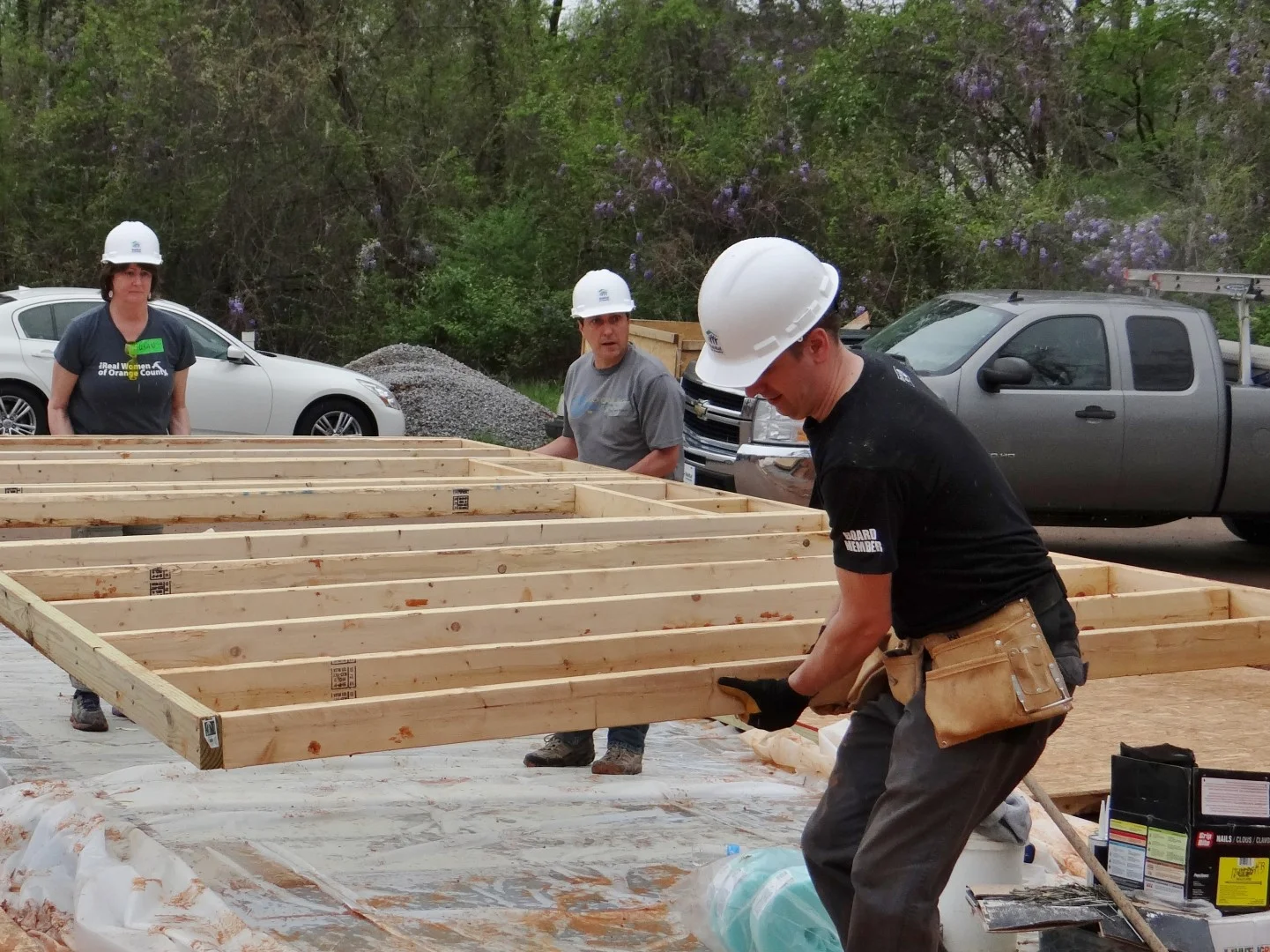 DSC07880 (Large).JPG