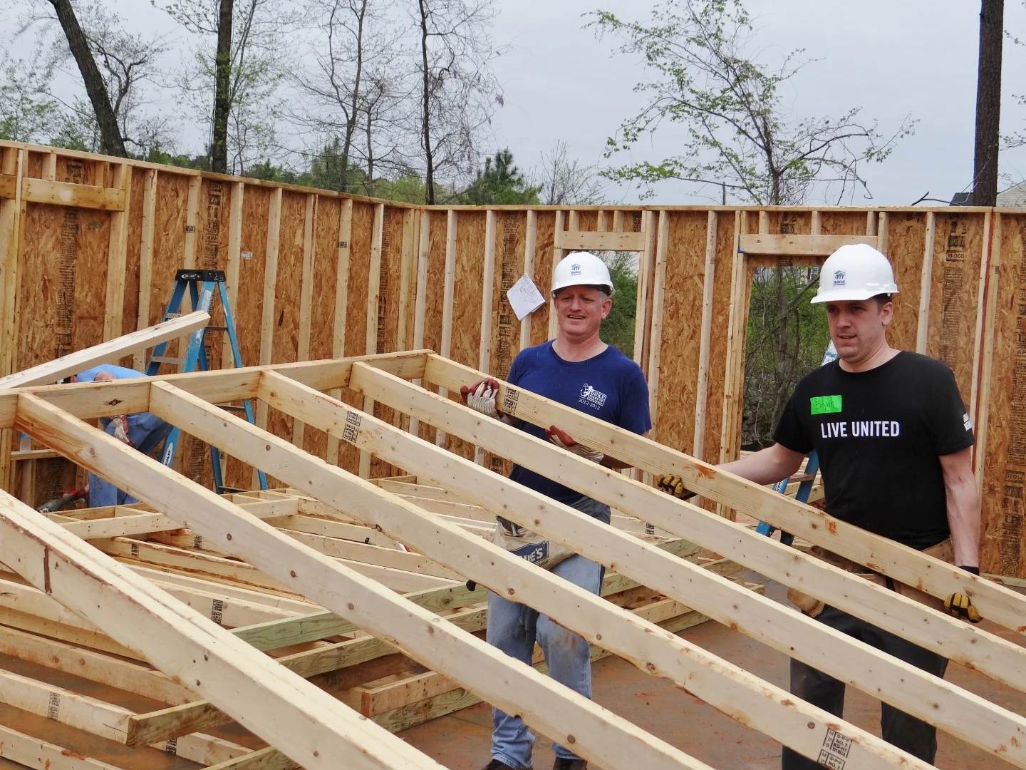 DSC07882 (Large).JPG