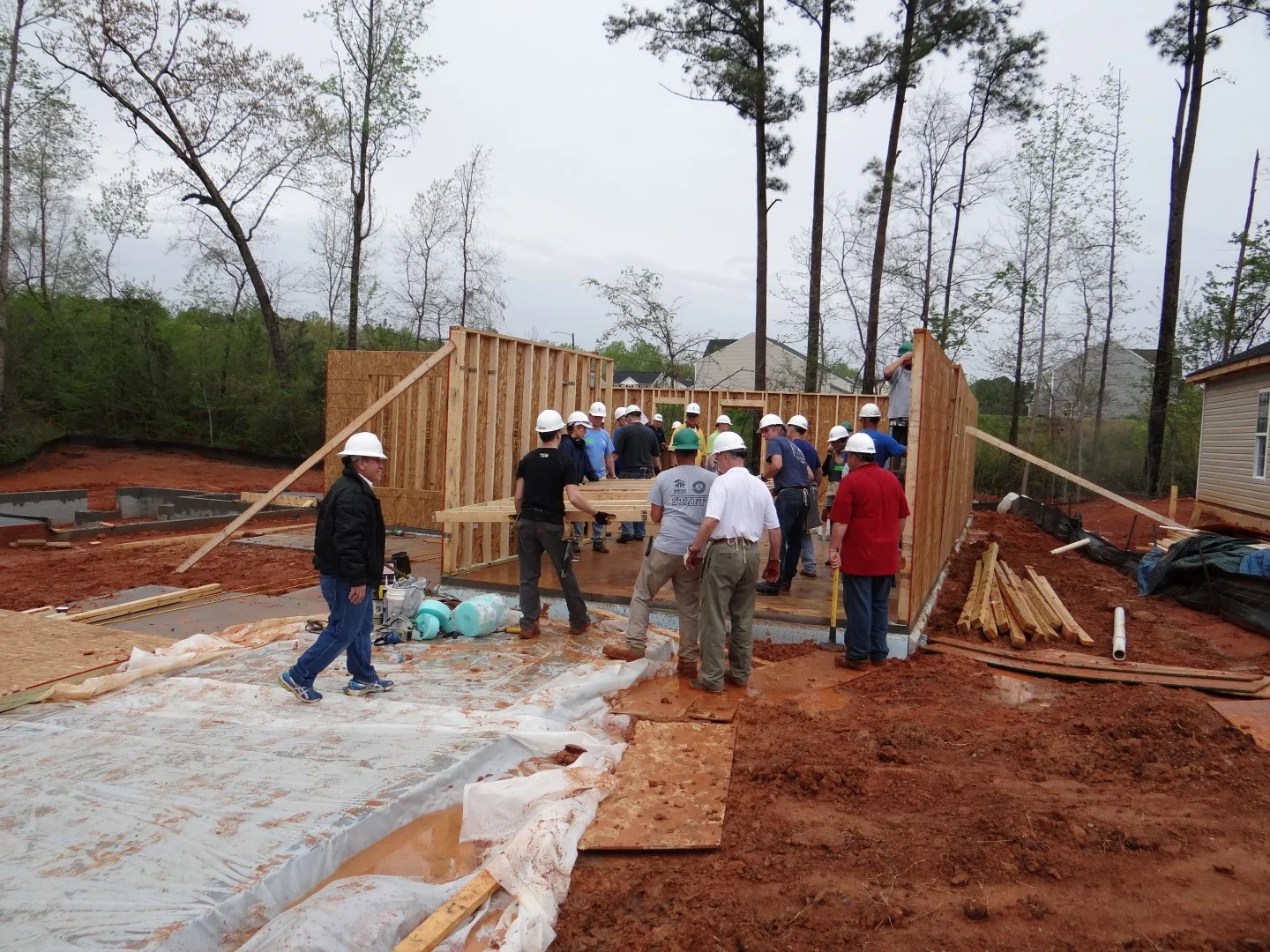 DSC07885 (Large).JPG