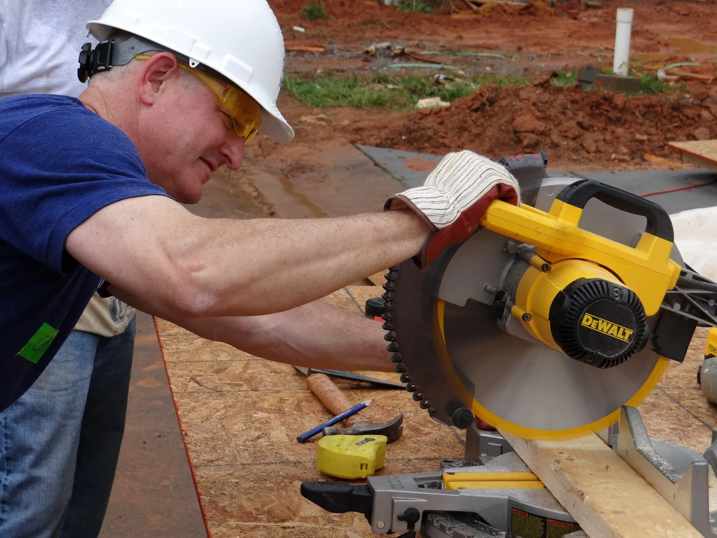 DSC07893 (Large).JPG