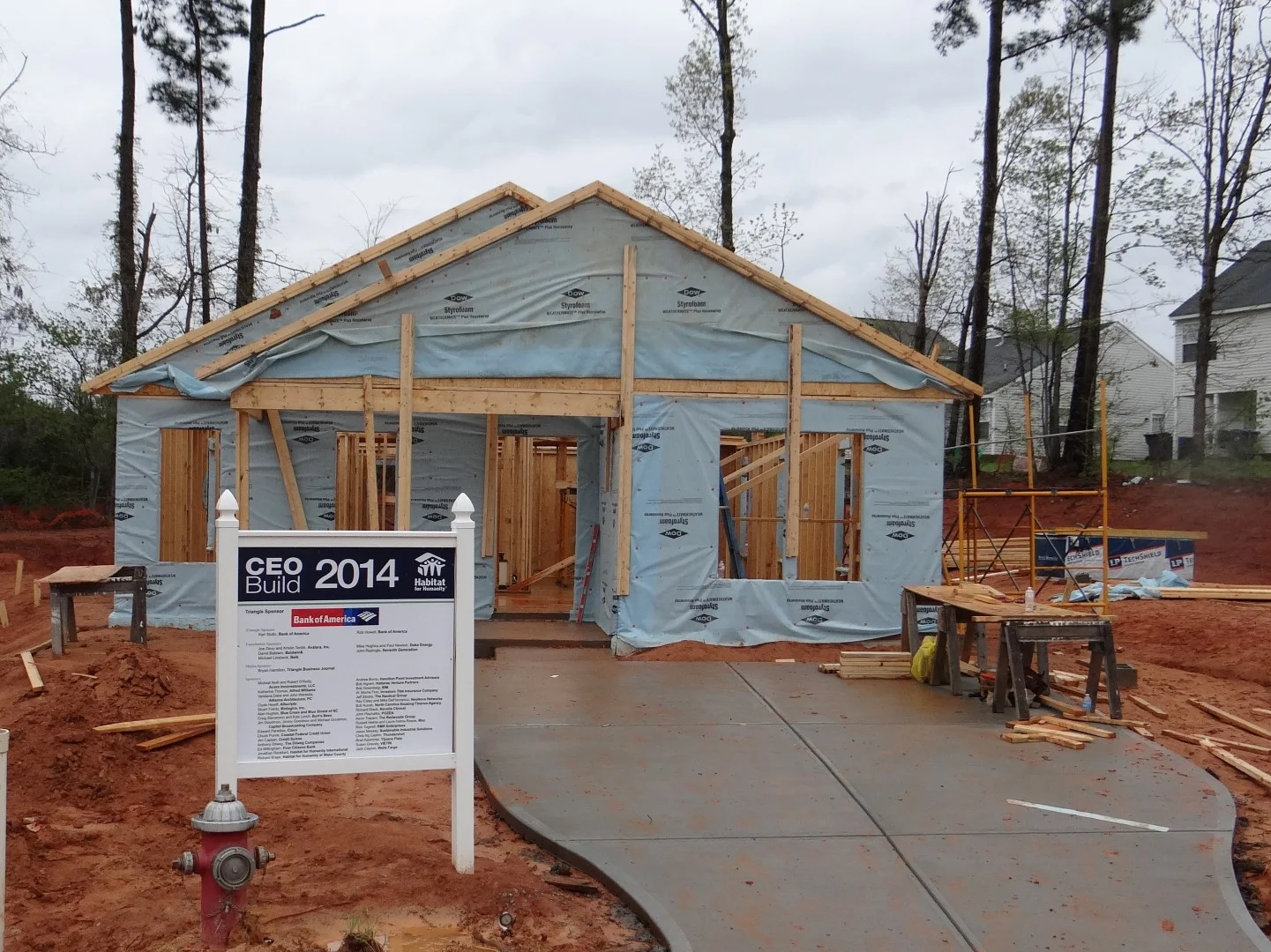 DSC07903 (Large).JPG