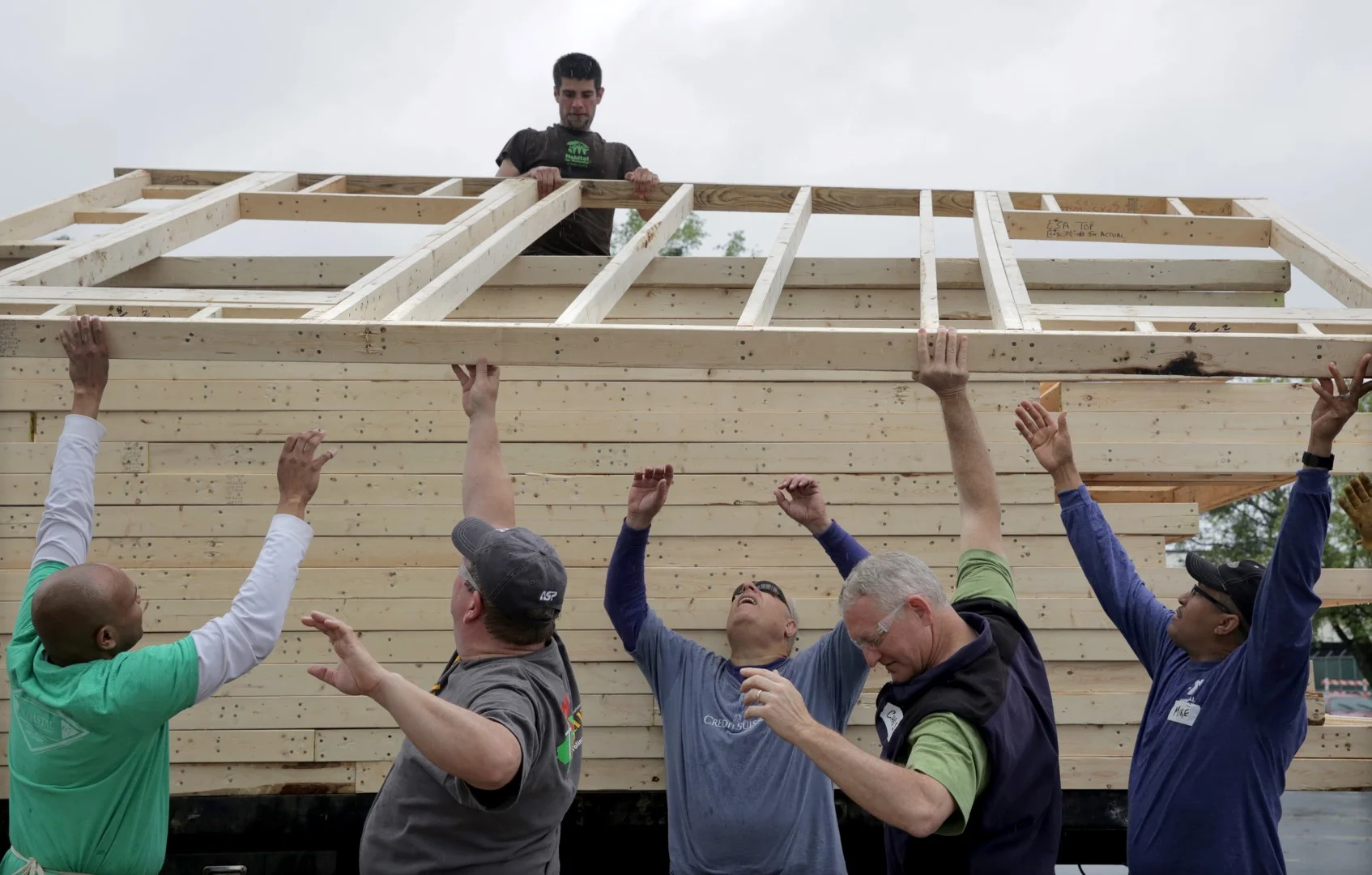 HABITAT.CEO.018 (Large).JPG