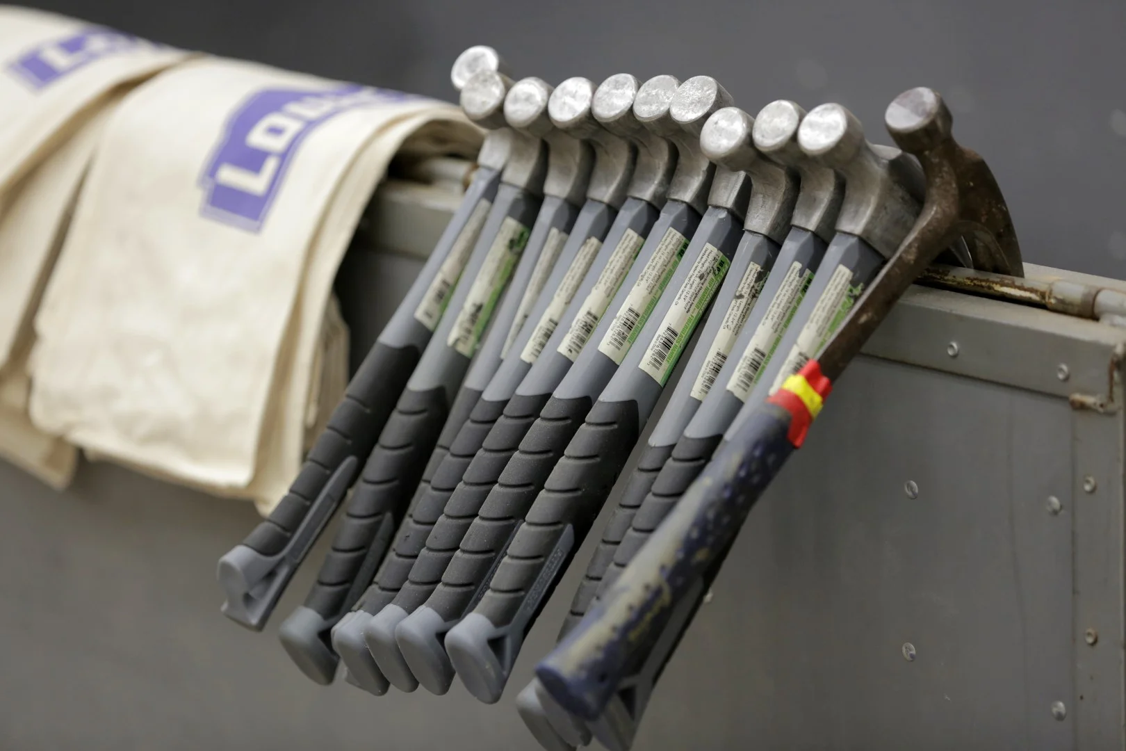 HABITAT.CEO.052 (Large).JPG