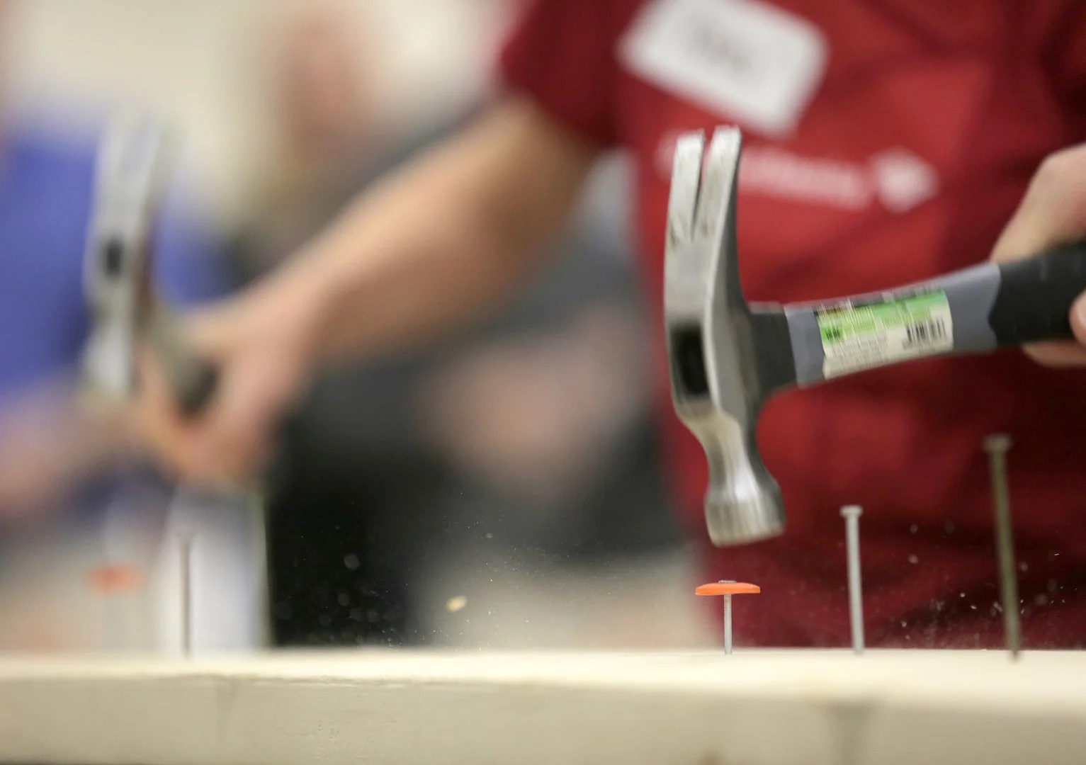 HABITAT.CEO.073 (Large).JPG