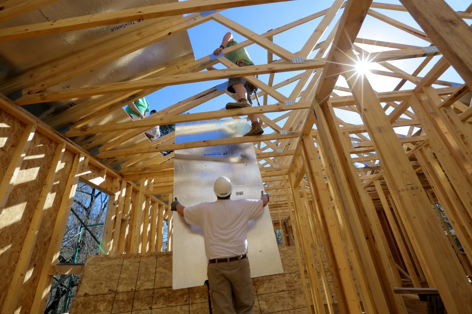 005.HABITAT.CEO.2O17 (Large).JPG