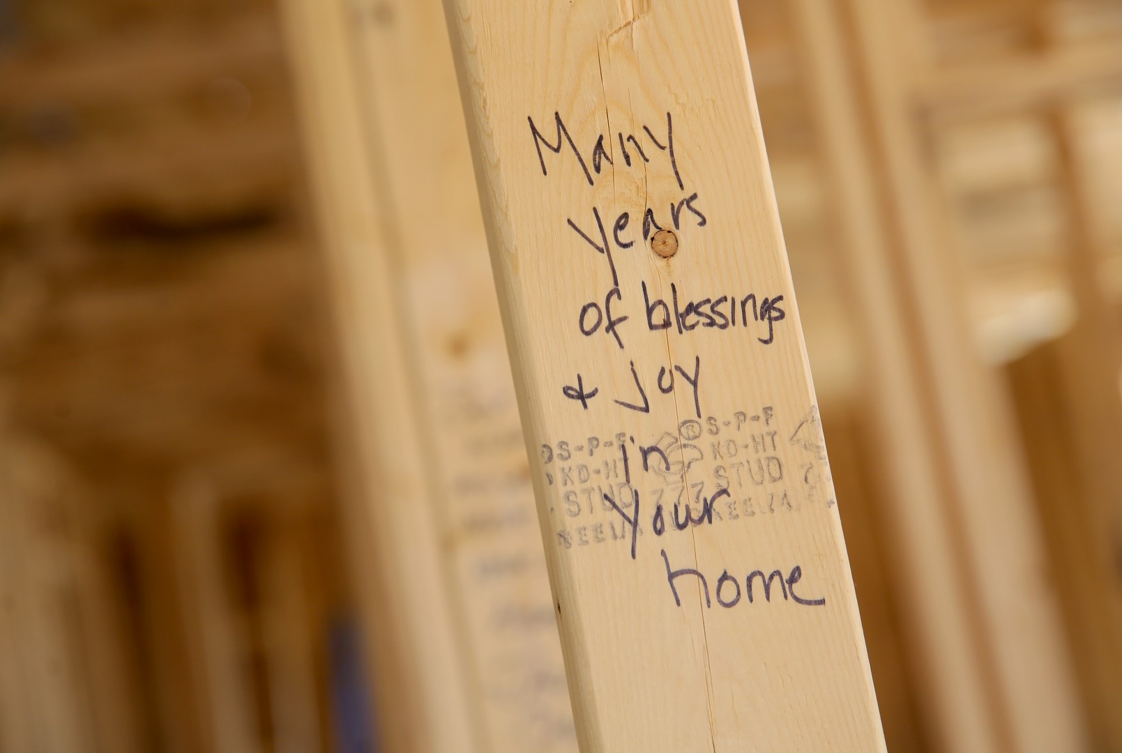 018.HABITAT.CEO.2O17 (Large).JPG