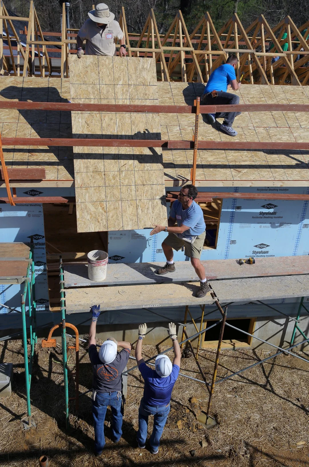 026.HABITAT.CEO.2O17 (Large).JPG