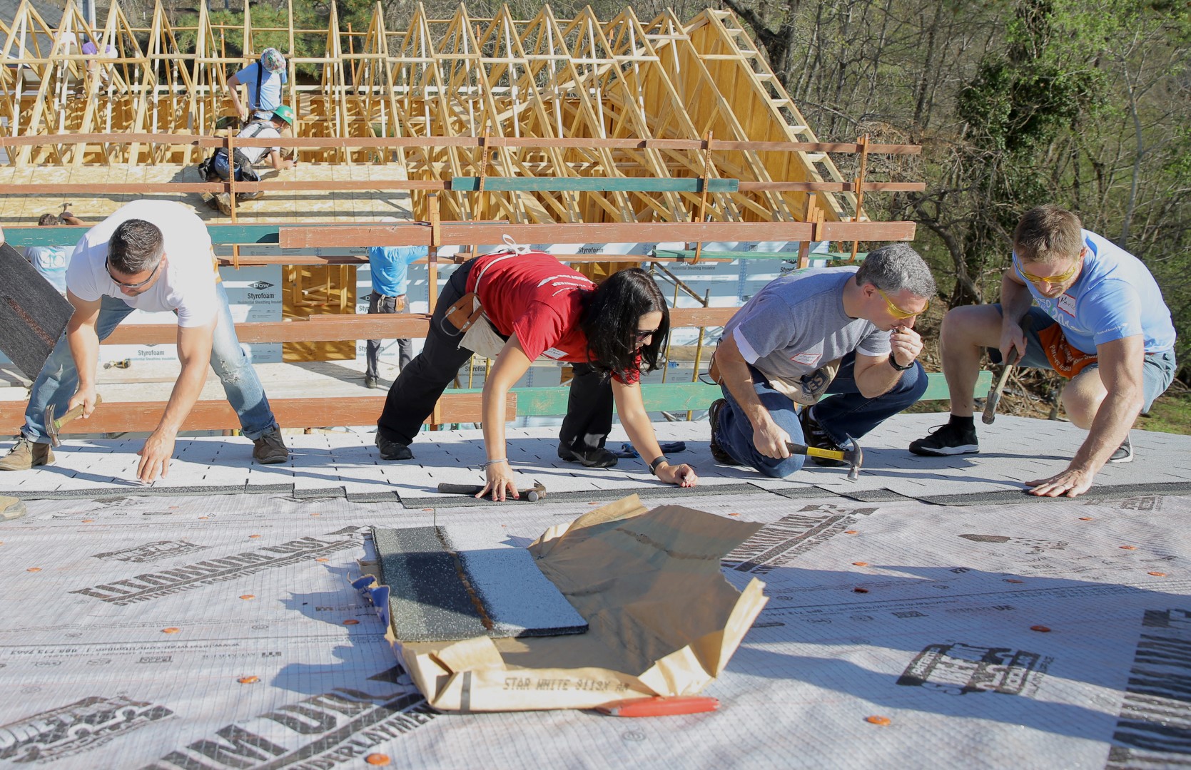 030.HABITAT.CEO.2O17 (Large).JPG