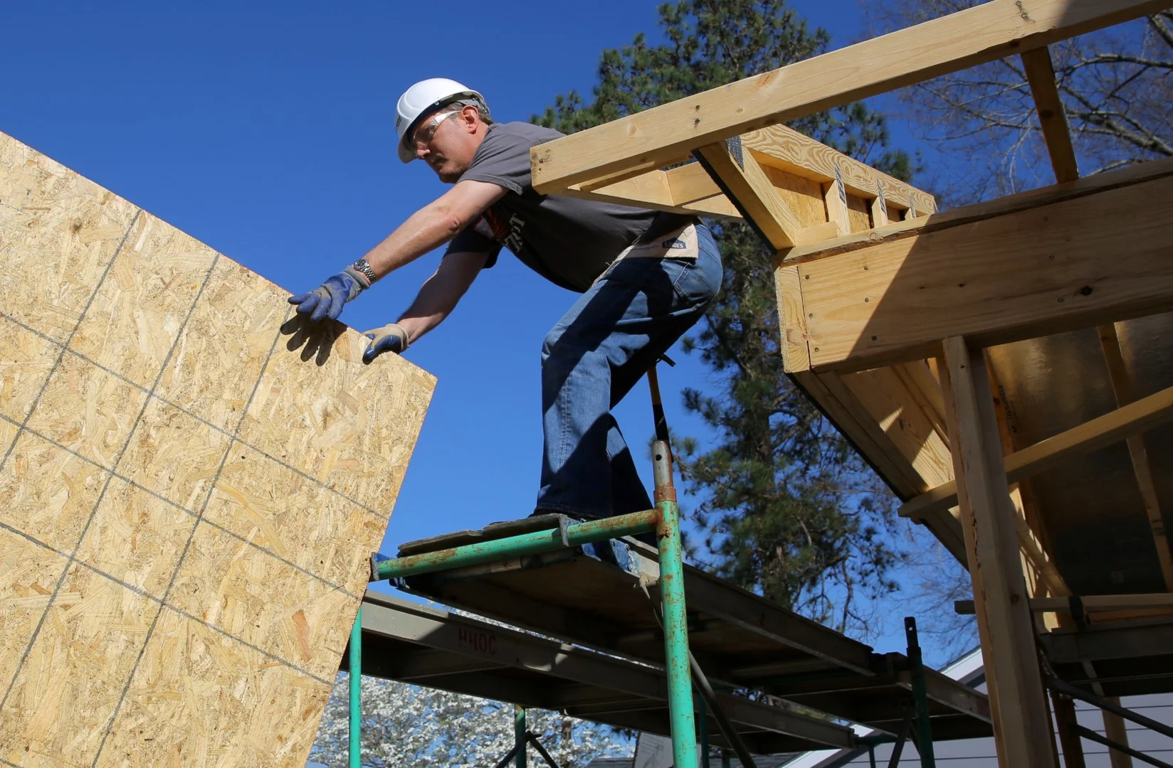 031.HABITAT.CEO.2O17 (Large).JPG