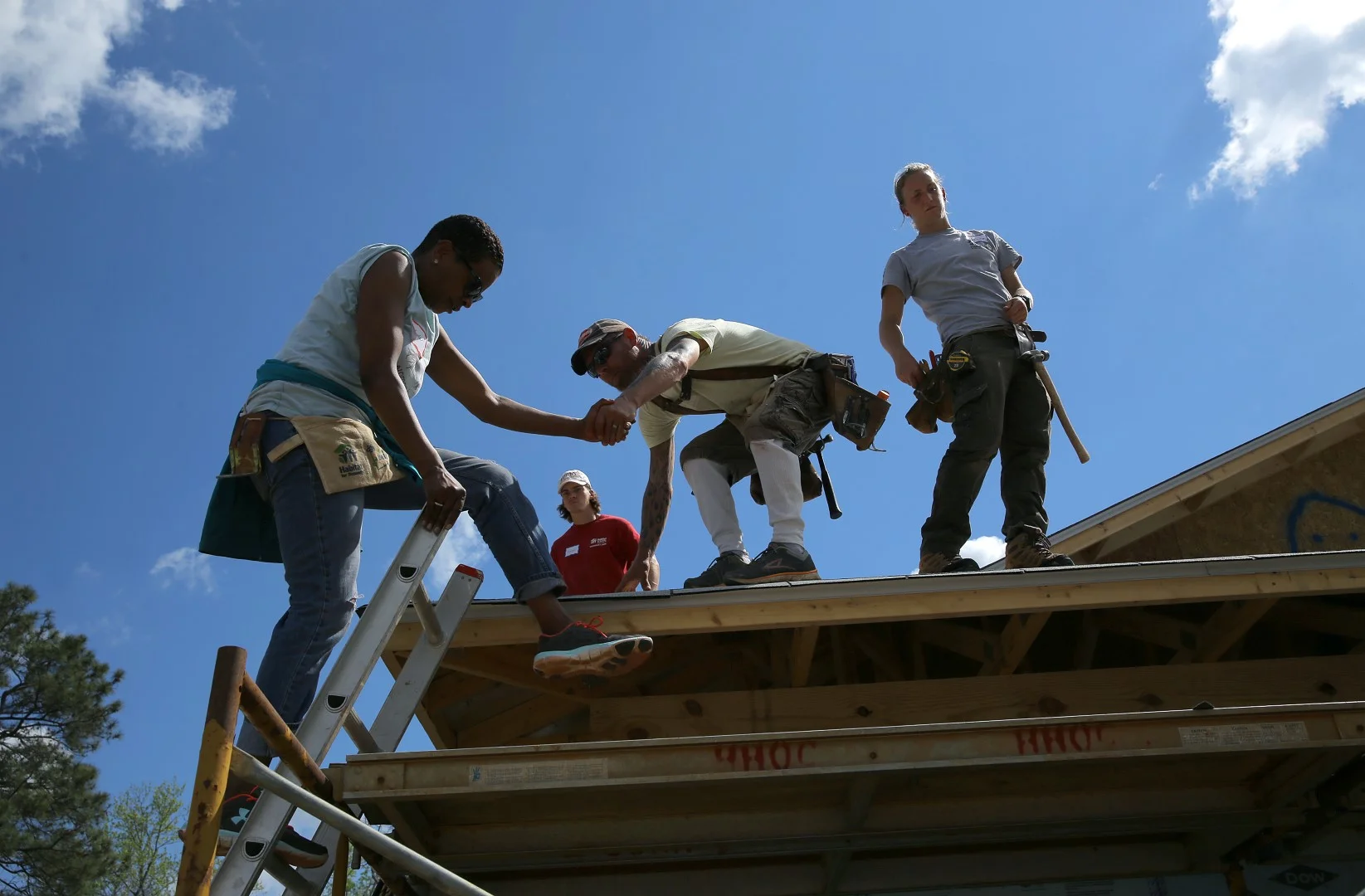 037.HABITAT.CEO.2O17 (Large).JPG