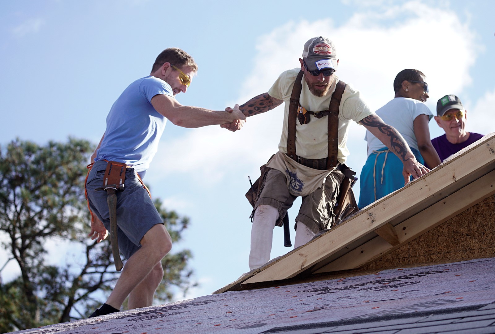 070.HABITAT.CEO.2O17 (Large).JPG