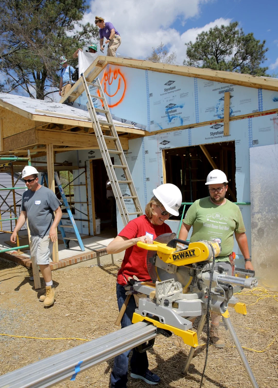 073.HABITAT.CEO.2O17 (Large).JPG