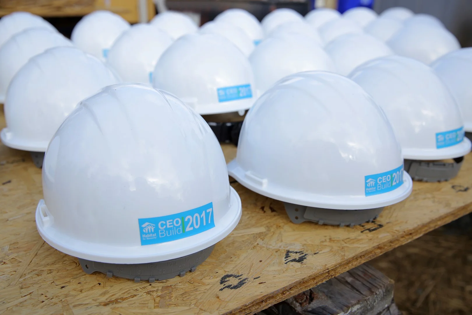 121.HABITAT.CEO.2O17 (Large).JPG