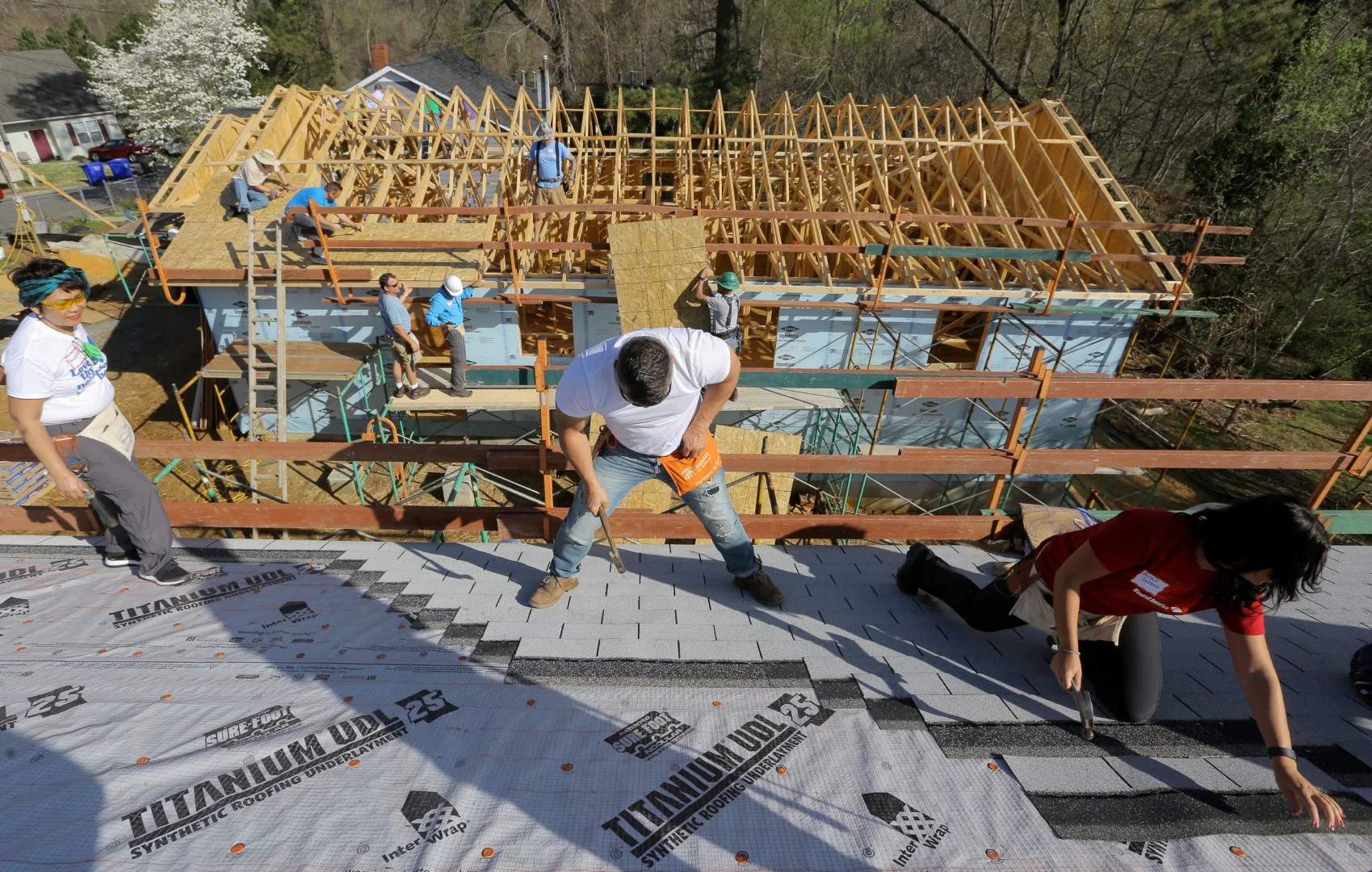 129.HABITAT.CEO.2O17 (Large).JPG