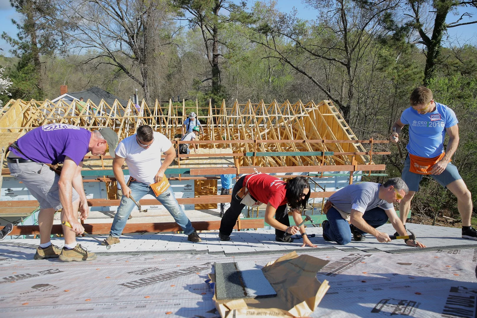 131.HABITAT.CEO.2O17 (Large).JPG