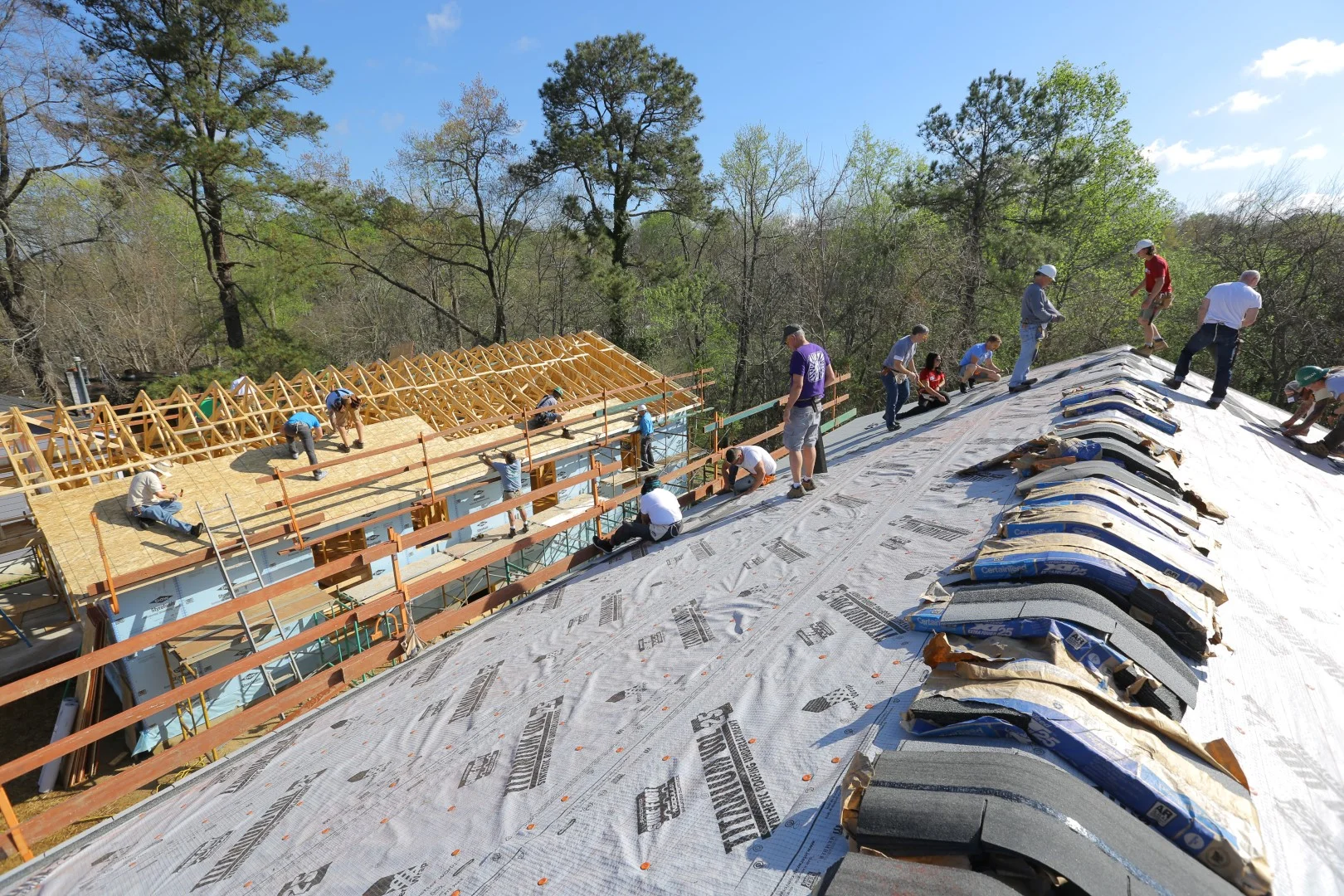 133.HABITAT.CEO.2O17 (Large).JPG