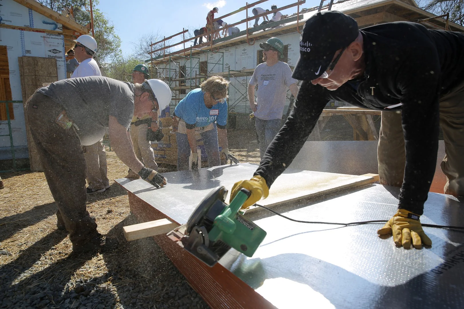 141.HABITAT.CEO.2O17 (Large).JPG