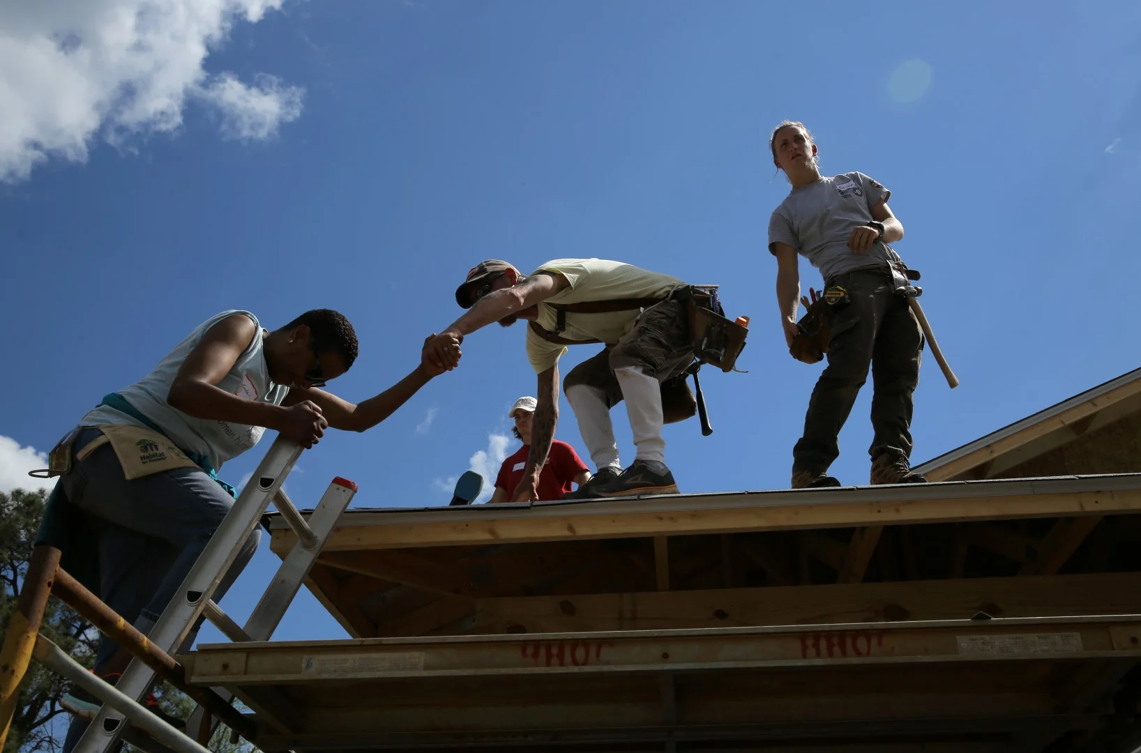 155.HABITAT.CEO.2O17 (Large).JPG