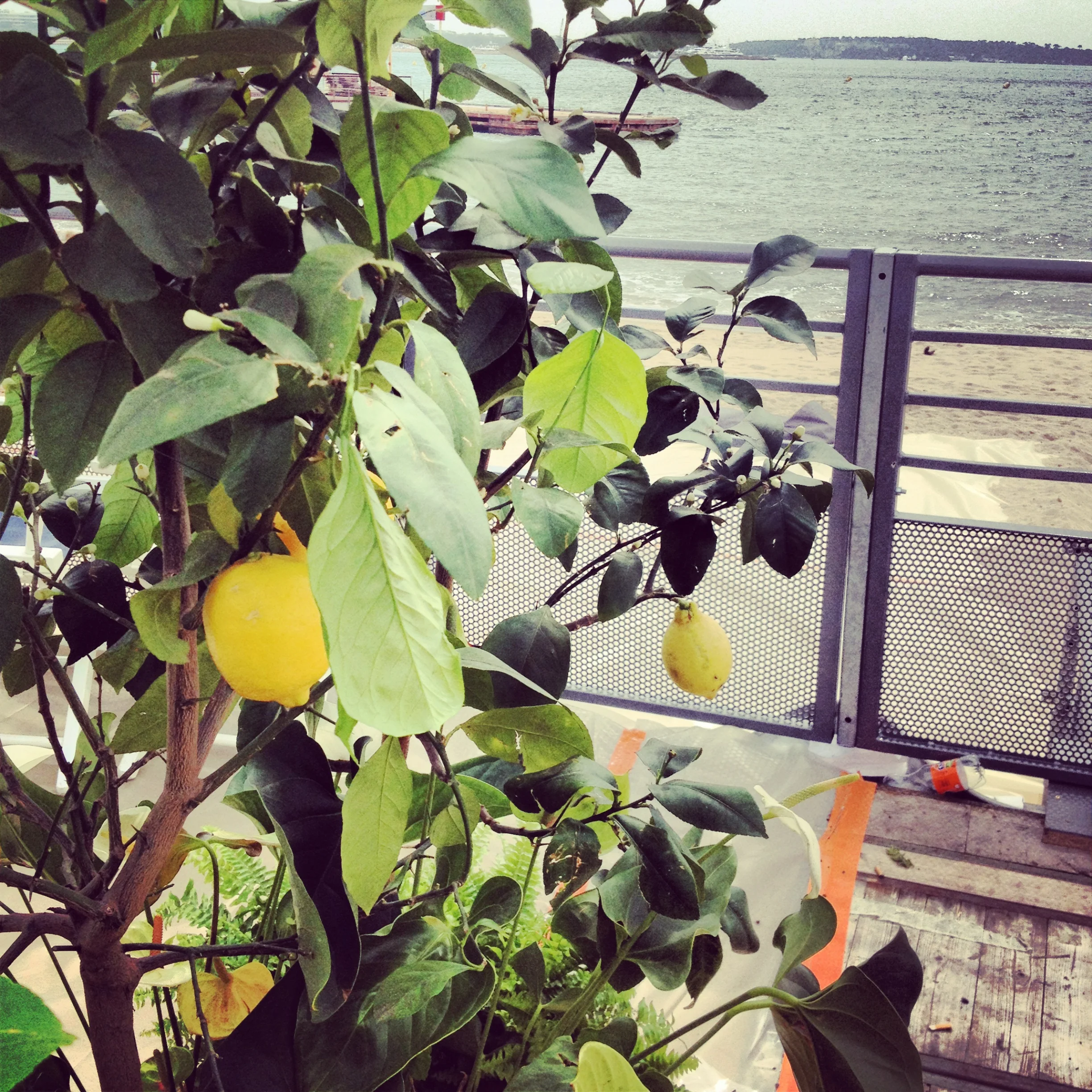 MIPTV a été un succès!