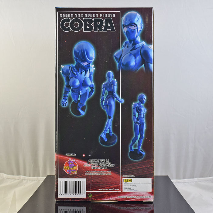 Cobra-Space-Pirate-3.jpg