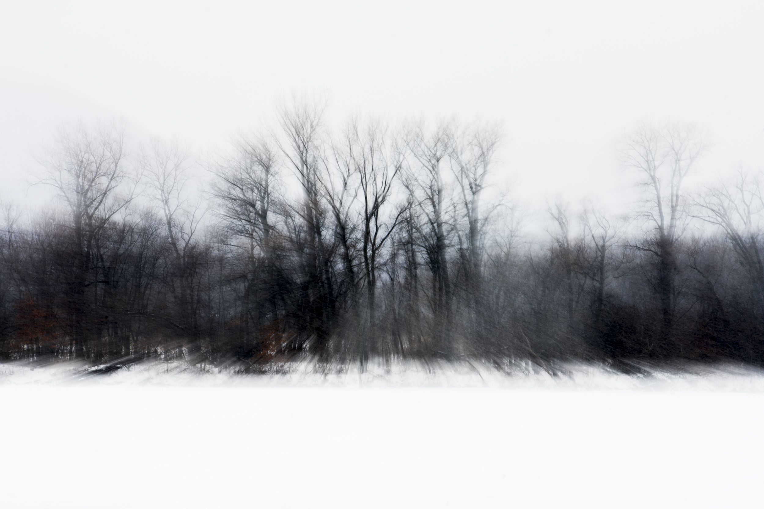 DSC02552-Edit.jpg