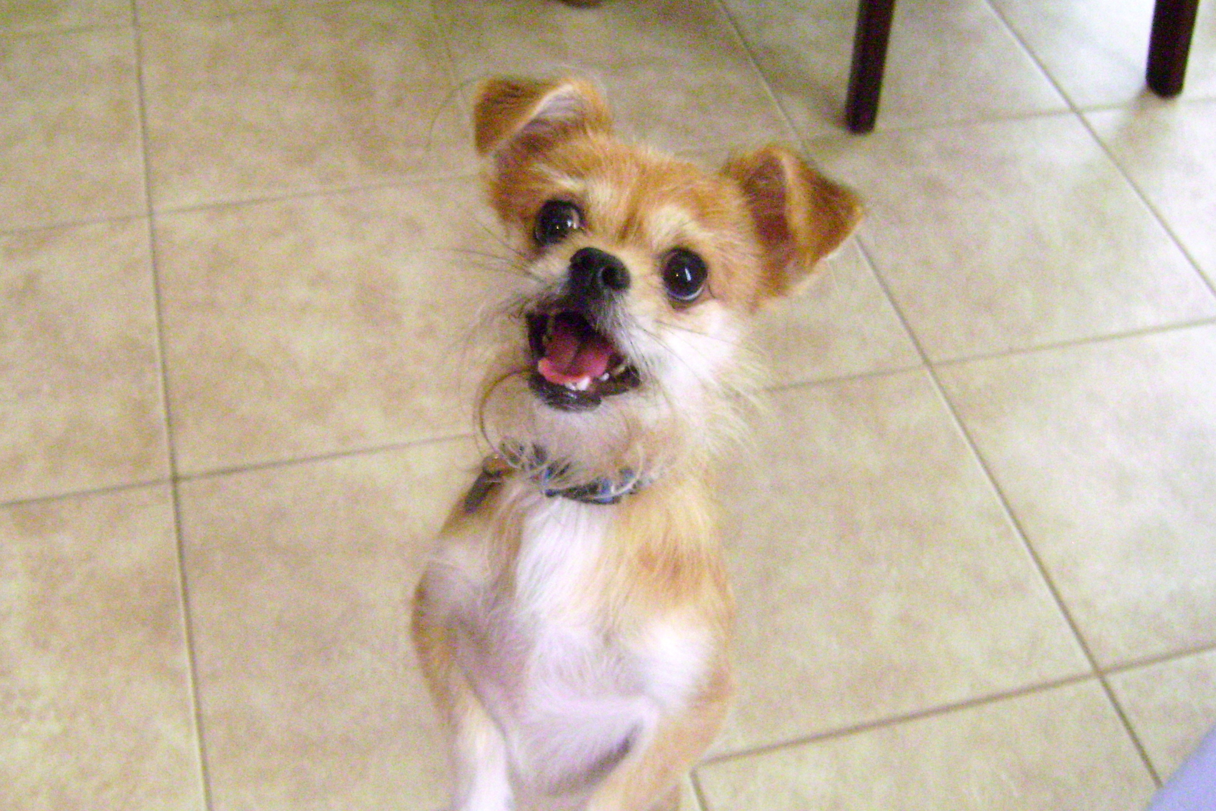 What a face!