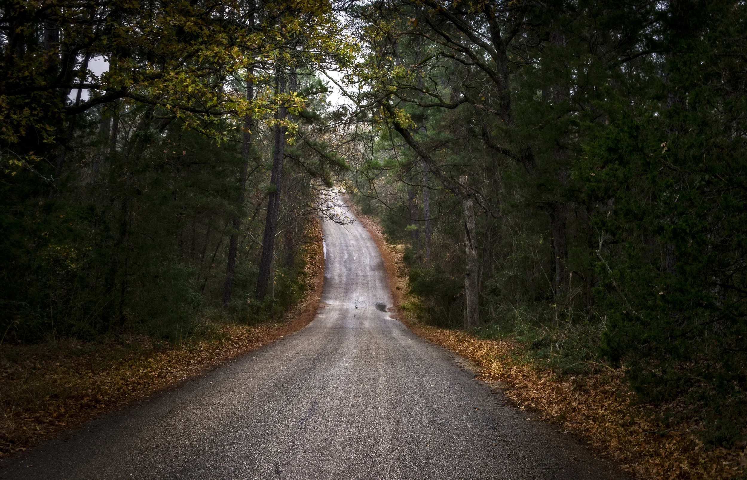Road Less Traveled.jpg