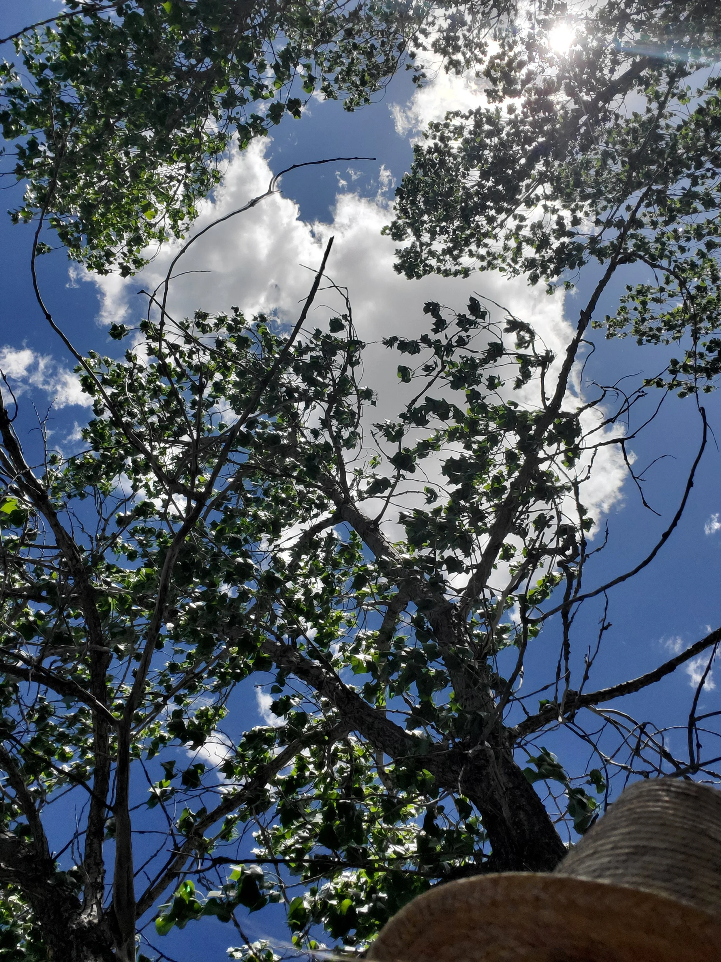 Carl Jung, reading for pleasure, and navigating social chaos