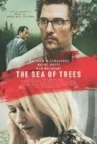 seaoftrees.jpg