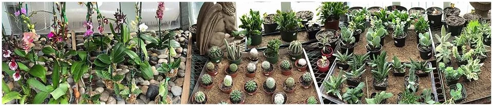 PRODUCTS — Downtown Home & Garden