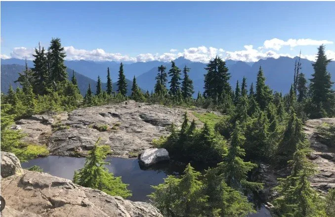 ASHRAE BC Chapter YEA Spring Hike