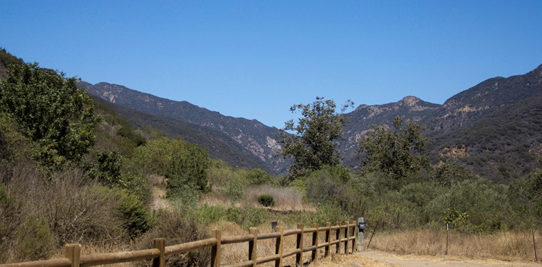 Zuma Canyon Trail