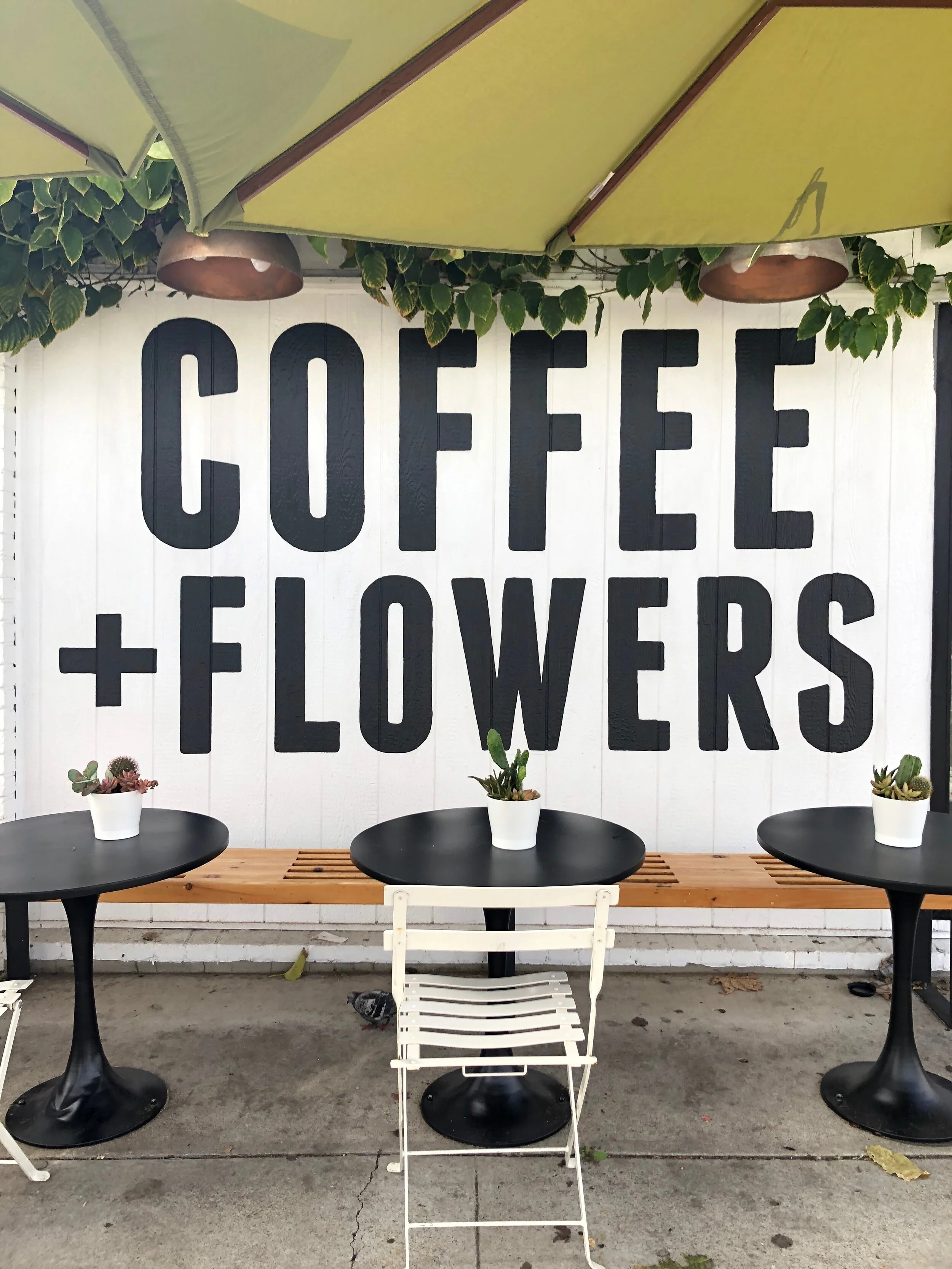 8 Patio Dining Pasadena Restaurants to Escape to This Week