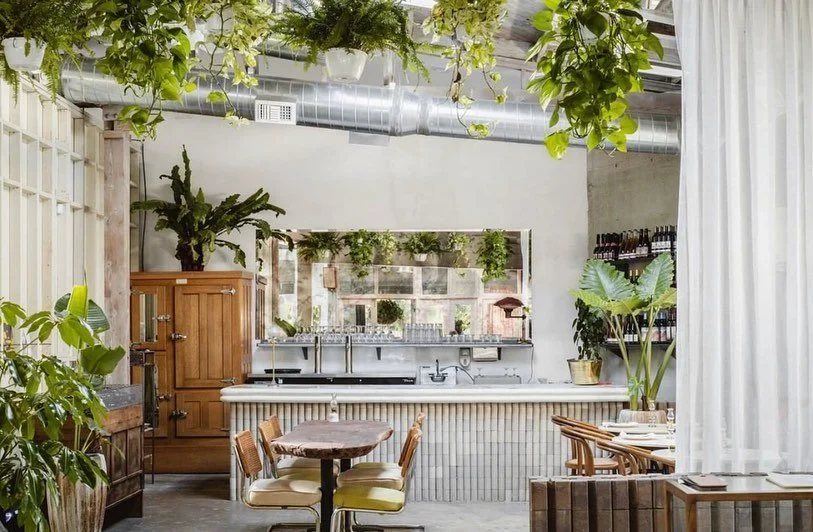 Organic sourdough pizza, natural wine, and patio dining at @gra_la_  serving up all the tasty treats this happy hump-day. Also this burrata salad with asian pears, yuzu kosho vinaigrette, seaweed and watercress is blowing our minds. 🤯🤤⁠⠀
⁠⠀
.⁠⠀
.⁠⠀