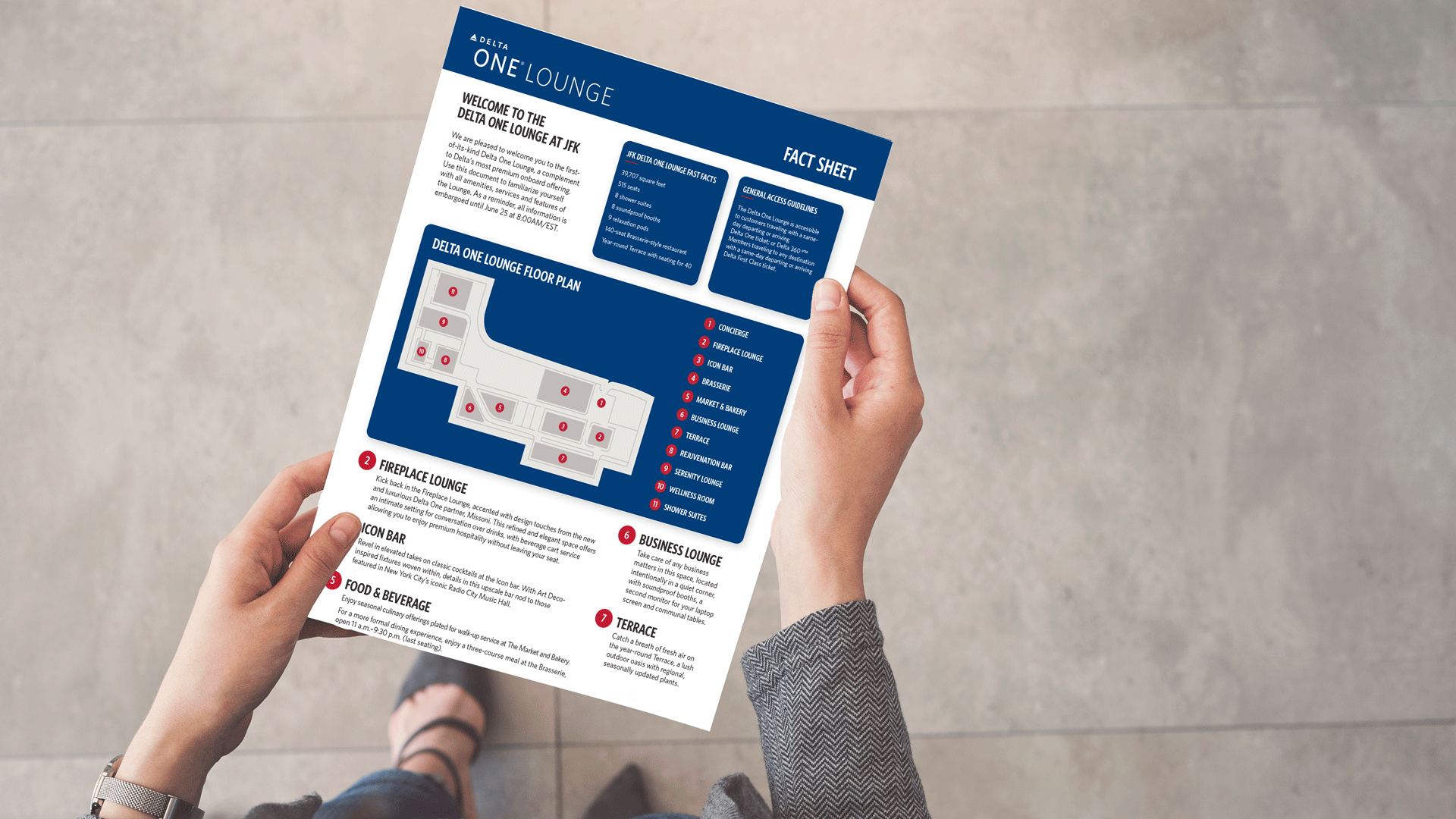 DLT_FACT-SHEET.gif