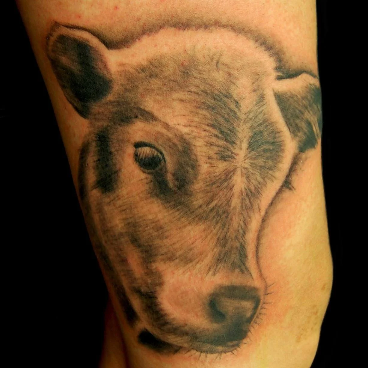 cow-tattoo.jpg