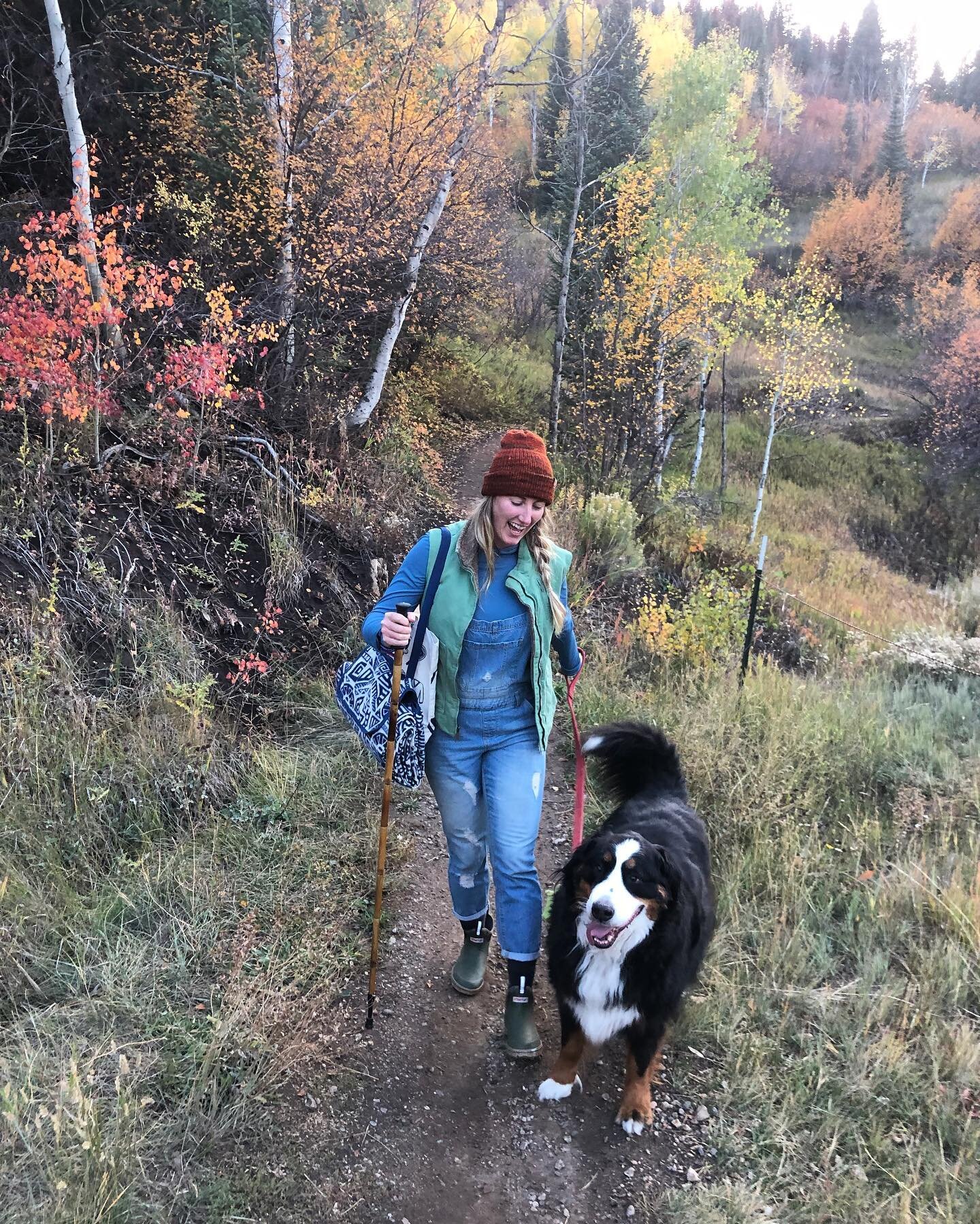 Already have ski poles but want to make use of them in the summer?! 
&bull;
Check out our trekking tips and transform your ski pole into a walking stick! 
&bull;
&bull;
&bull;
#bambooisbetter #hikeaboutit #makewalkingstickssexy