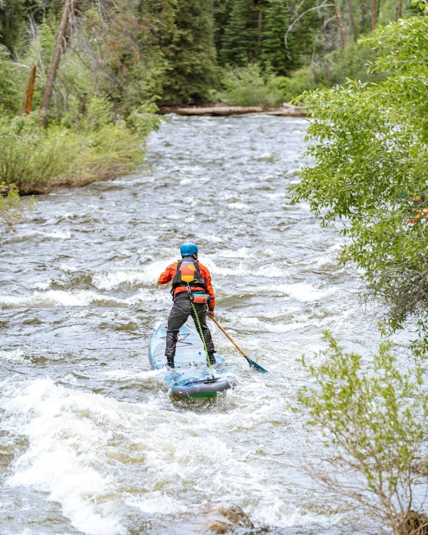 Elk River SUP day. 

#bambooisbetter