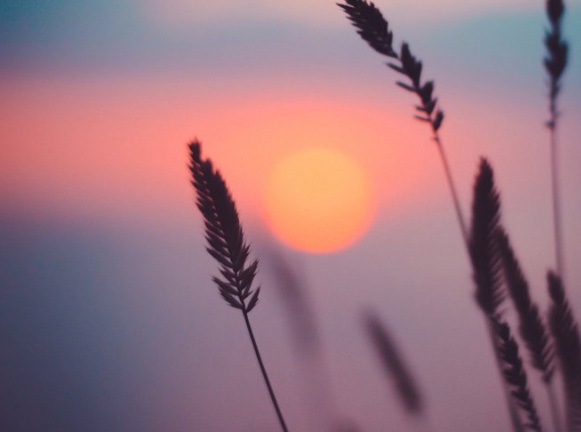 Screen+Shot+2019-07-01+at+2.31.40+PM.jpg