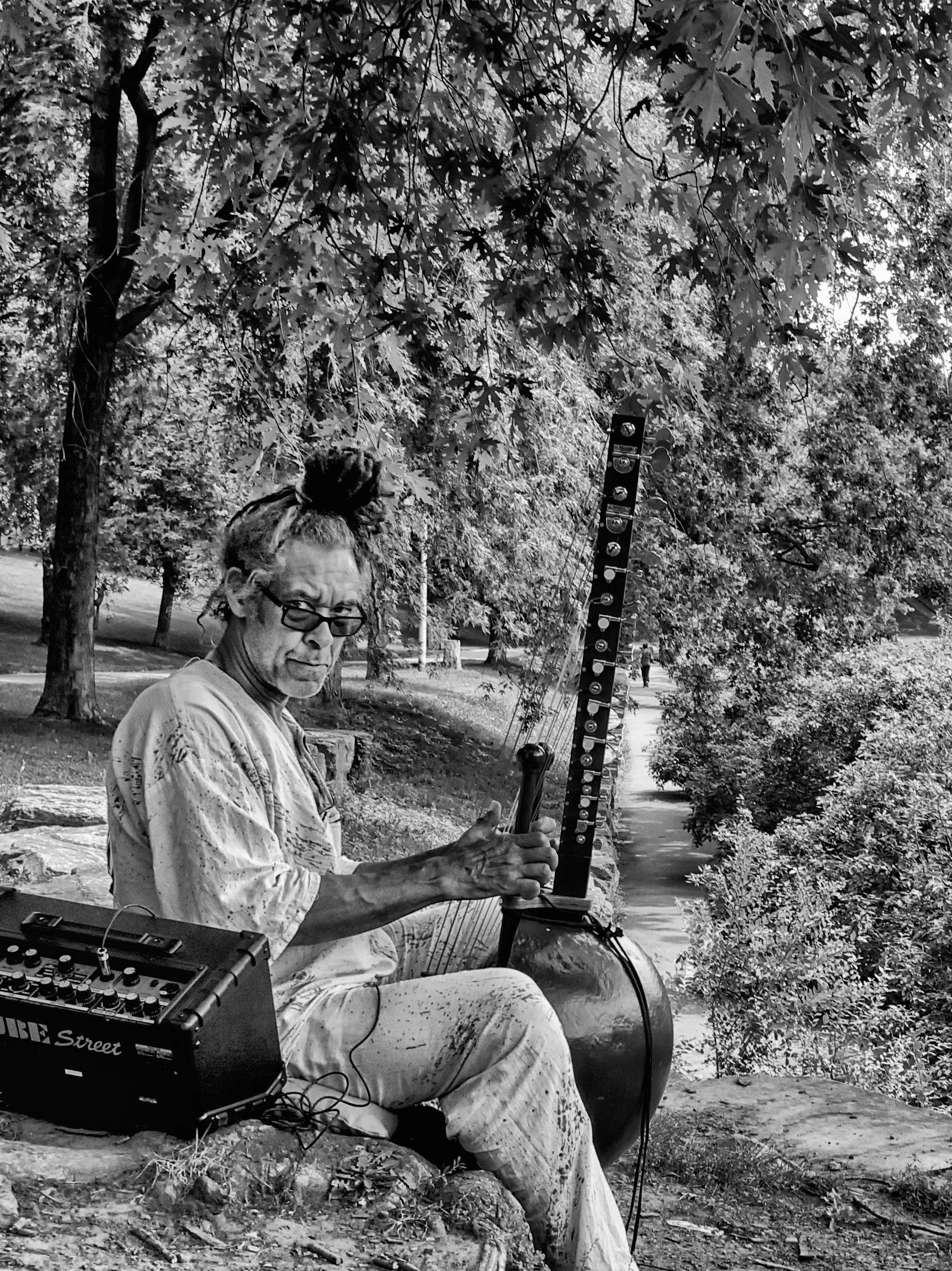 Le musicien et le parc