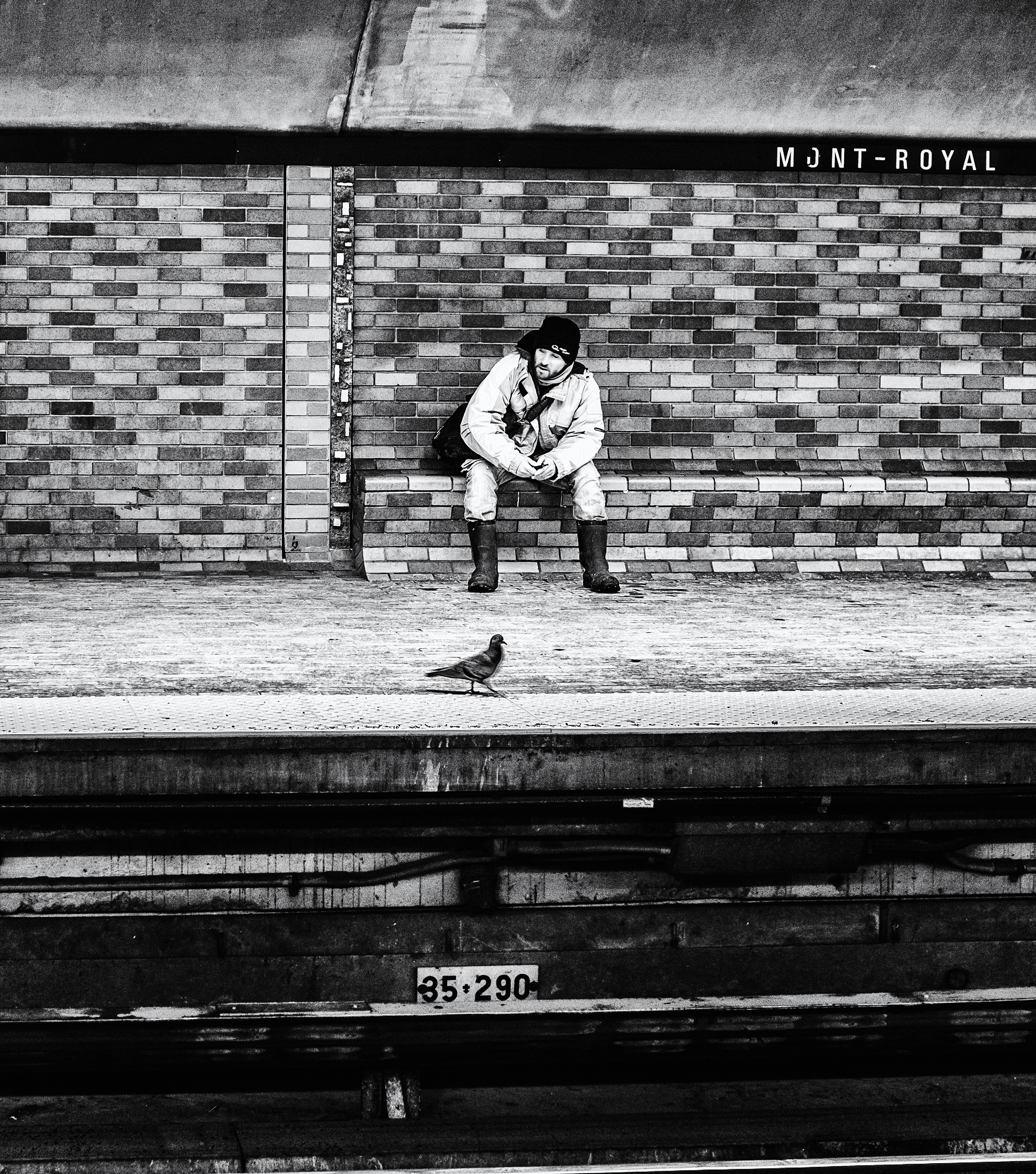 So cold even the pigeons take the subway. Technical stuff: Olympus omdem5, 25mm, 1/20sec, f3.5 800 ISO, Lightroom with lots of clarity and shadow opening, niksoftware structure preset, PlusX film filter.
