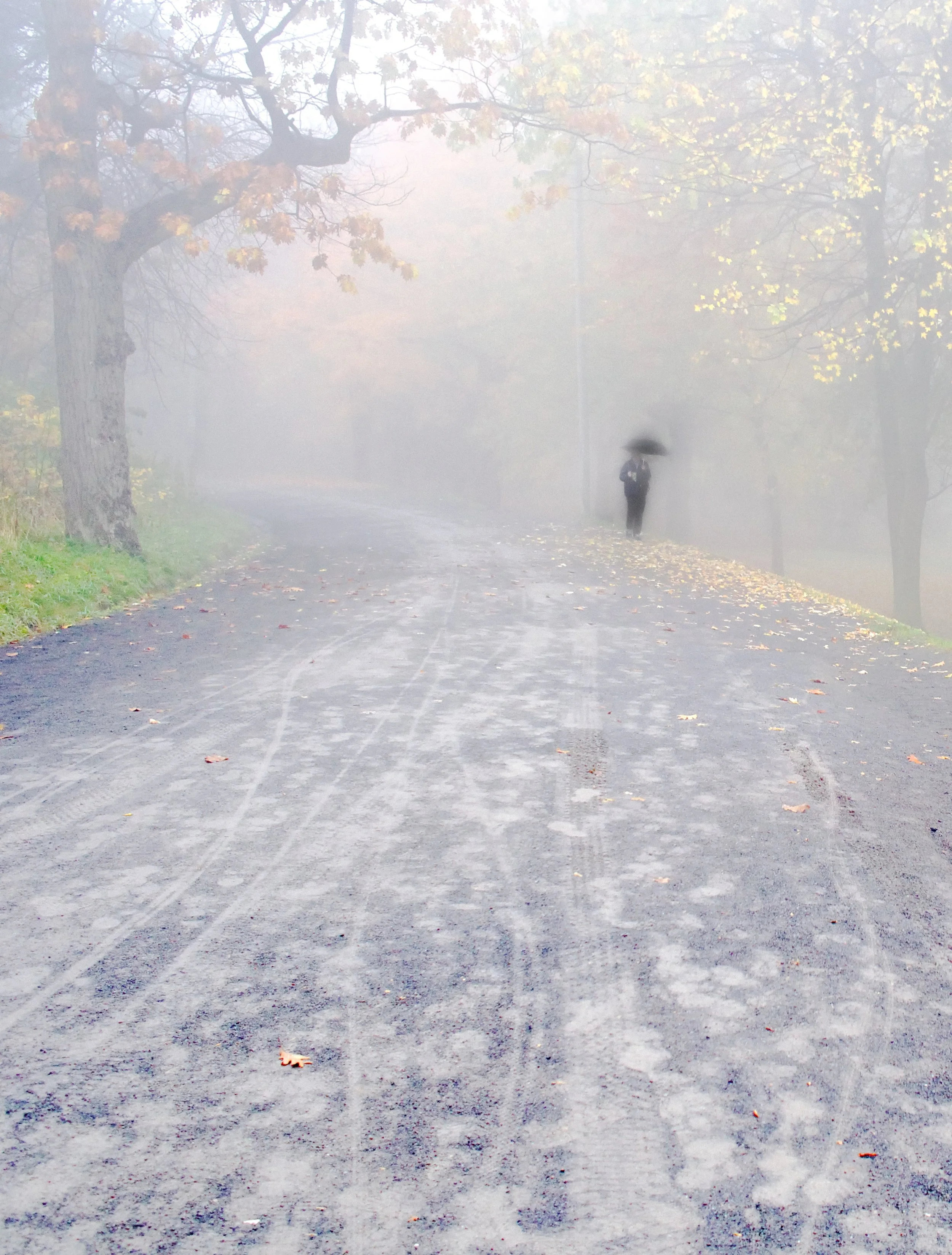 Fog